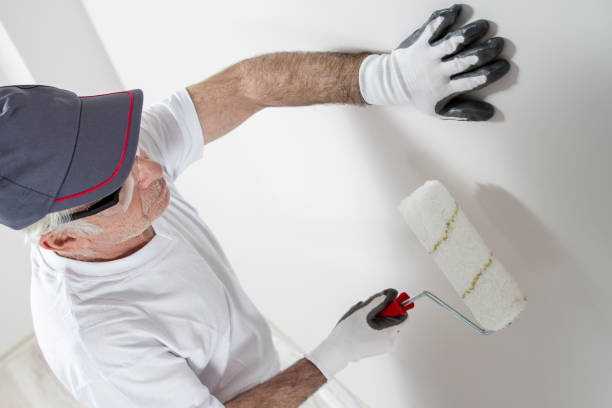 Best Wallpaper Removal and Painting  in Elkhorn, WI